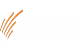 SP Jain Institute of Management & Research (SPJIMR) Logo