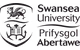 Swansea University Logo