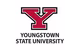 Youngstown State University Logo